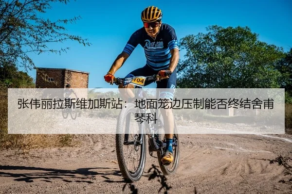 张伟丽拉斯维加斯站：地面笼边压制能否终结舍甫琴科